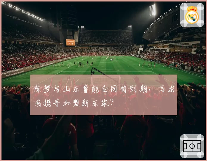 陈梦与山东鲁能合同将到期，马龙或携手加盟新东家？