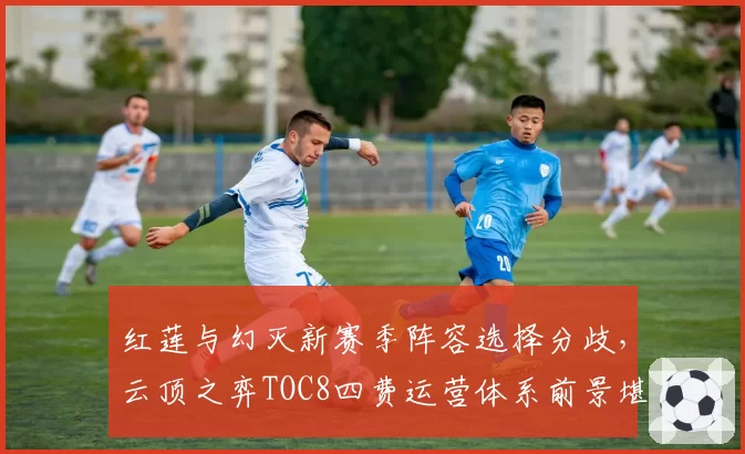 红莲与幻灭新赛季阵容选择分歧，云顶之弈TOC8四费运营体系前景堪忧